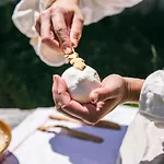 Koca Zafran - Velika Planina