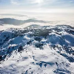 Koca Zafran - Velika Planina Стаховица