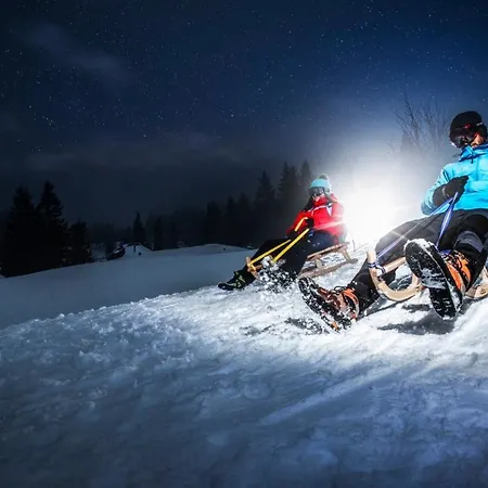 Alpesi faház Koca Zafran - Velika Planina Stahovica
