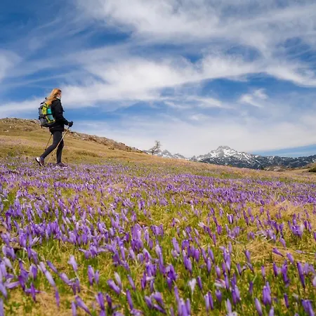 Koca Zafran - Velika Planina Alpesi faház Stahovica