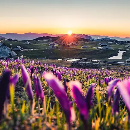 Koca Zafran - Velika Planina Alpesi faház Stahovica