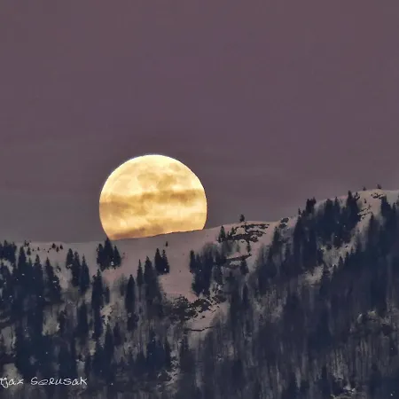 Alpesi faház Koca Zafran - Velika Planina