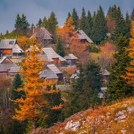 Koca Zafran - Velika Planina *