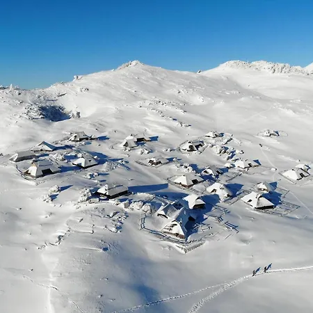 Koca Zafran - Velika Planina *