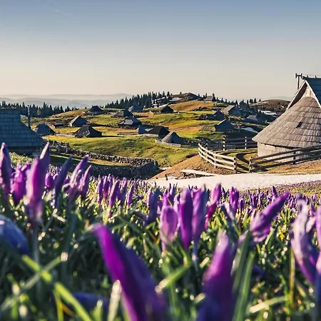 Koca Zafran - Velika Planina Chalet *