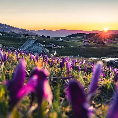 Koca Zafran - Velika Planina Chalet Stahovica