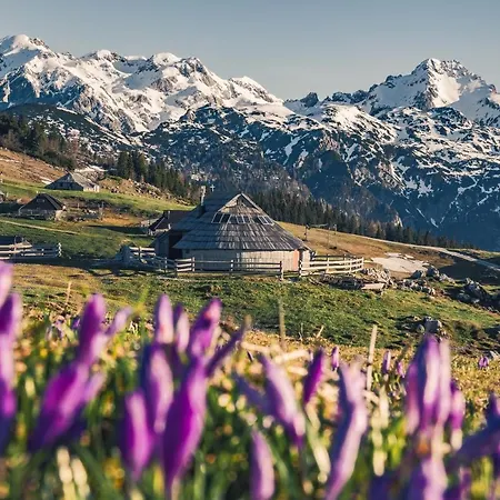 Koca Zafran - Velika Planina Chalet Stahovica