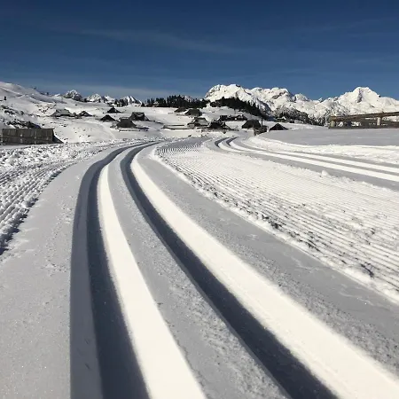 Koca Zafran - Velika Planina