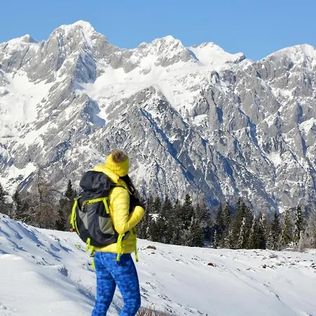 Koca Zafran - Velika Planina Chalet *