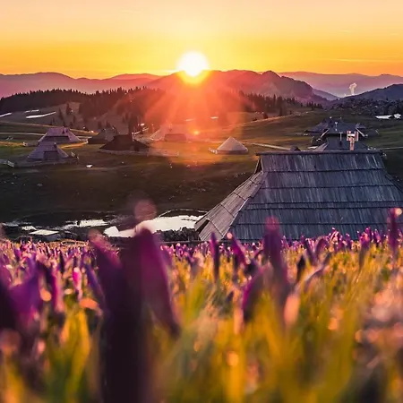 Koca Zafran - Velika Planina Stahovica