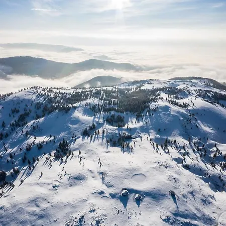 Koca Zafran - Velika Planina Stahovica