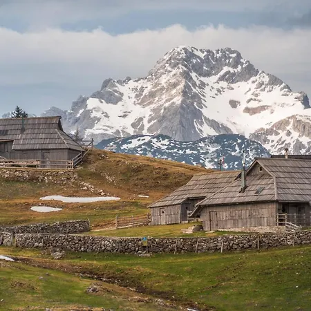 Koca Zafran - Velika Planina Chalet *