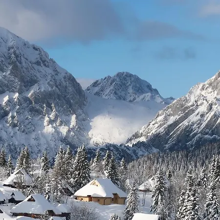 Koca Zafran - Velika Planina *