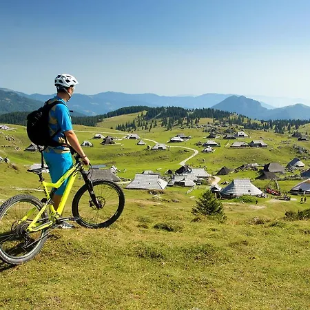 Koca Zafran - Velika Planina Chalet *
