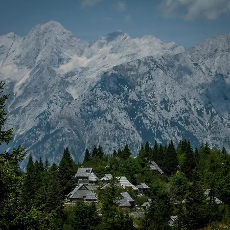 Koca Zafran - Velika Planina
