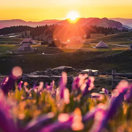 Koca Zafran - Velika Planina Chalet