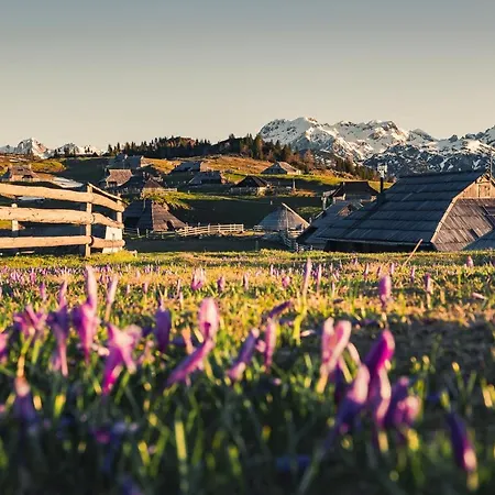 Koca Zafran - Velika Planina * Stahovica
