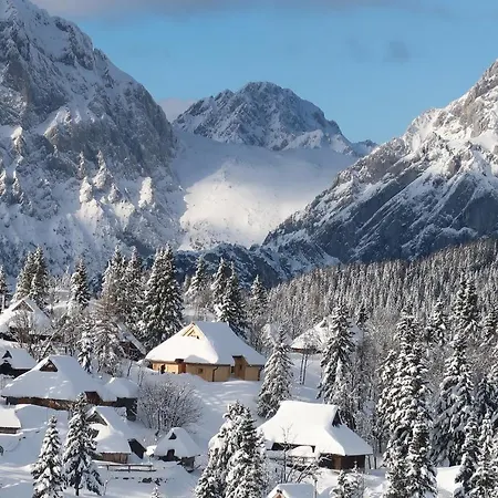 Koca Zafran - Velika Planina