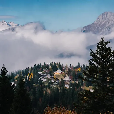 Koca Zafran - Velika Planina
