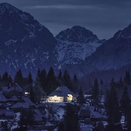 Koca Zafran - Velika Planina