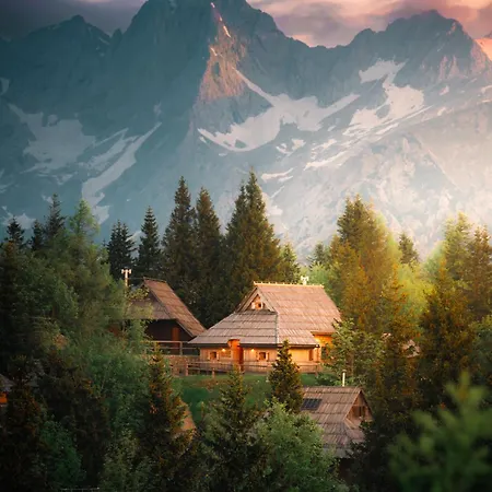 Koca Zafran - Velika Planina * Stahovica