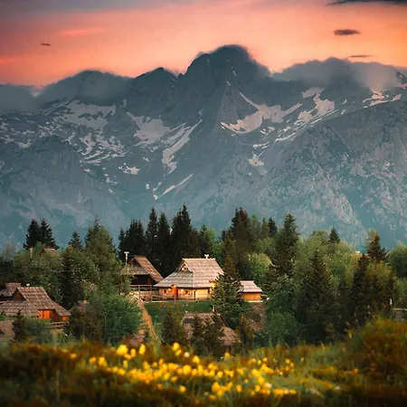 Koca Zafran - Velika Planina Chalet