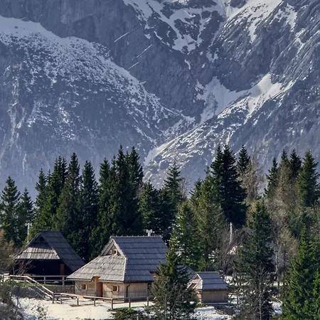 Chalet Koca Zafran - Velika Planina *