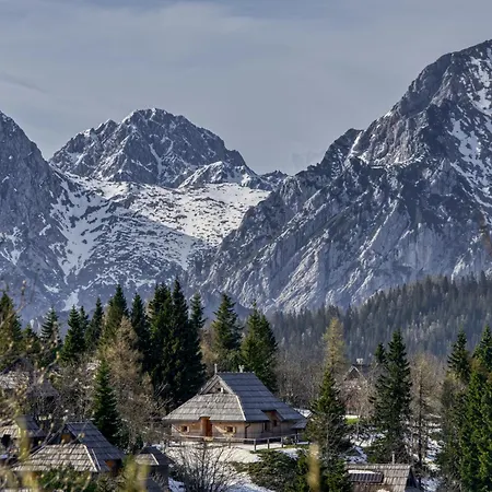 Koca Zafran - Velika Planina Chalet