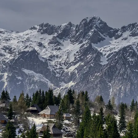 Koca Zafran - Velika Planina Chalet *