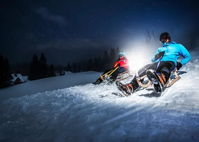 Alpesi faház Koca Zafran - Velika Planina Stahovica