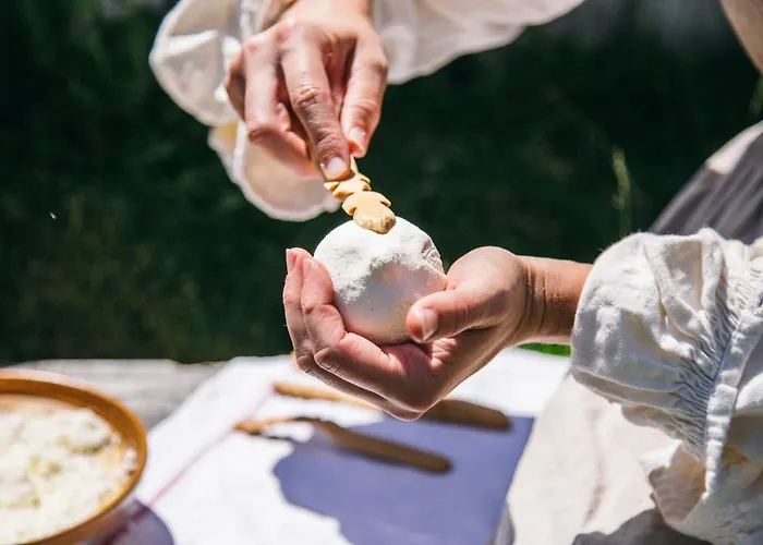 Koca Zafran - Velika Planina