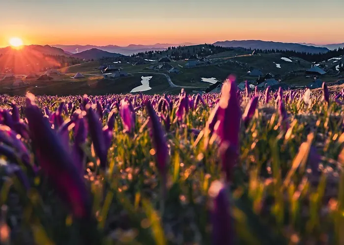 Koca Zafran - Velika Planina Stahovica