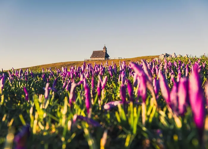 Koca Zafran - Velika Planina Alpesi faház *