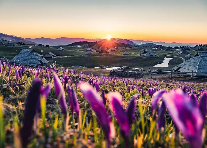 Koca Zafran - Velika Planina Alpesi faház Stahovica