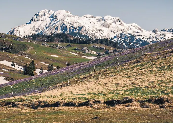 Alpesi faház Koca Zafran - Velika Planina Stahovica