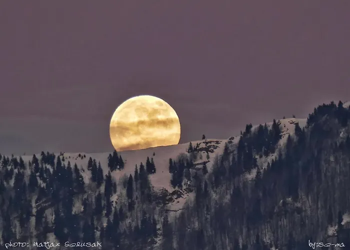 Alpesi faház Koca Zafran - Velika Planina