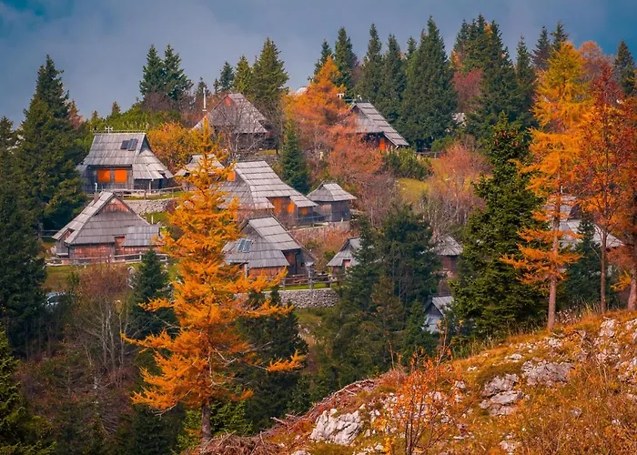 Koca Zafran - Velika Planina *