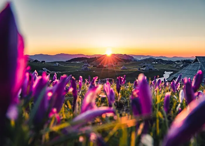 Koca Zafran - Velika Planina Alpesi faház *