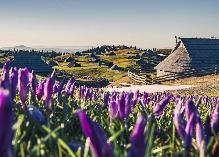 Koca Zafran - Velika Planina Alpesi faház *