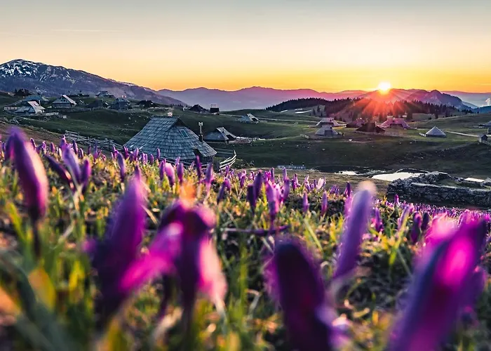 Koca Zafran - Velika Planina Horská chata Stahovica