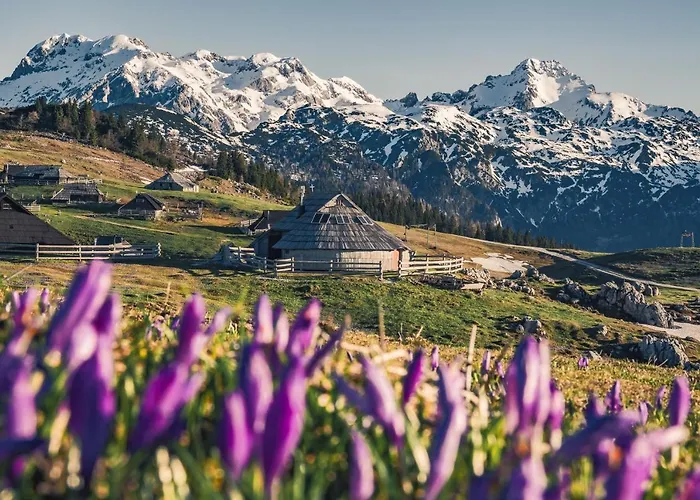 Koca Zafran - Velika Planina Horská chata Stahovica
