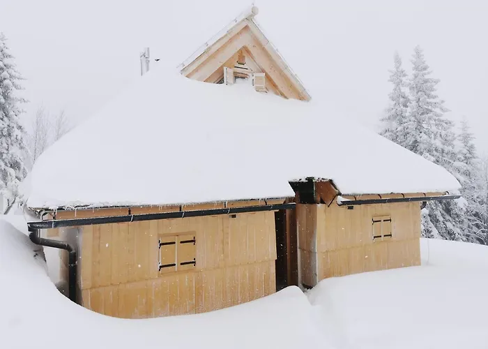 Koca Zafran - Velika Planina *