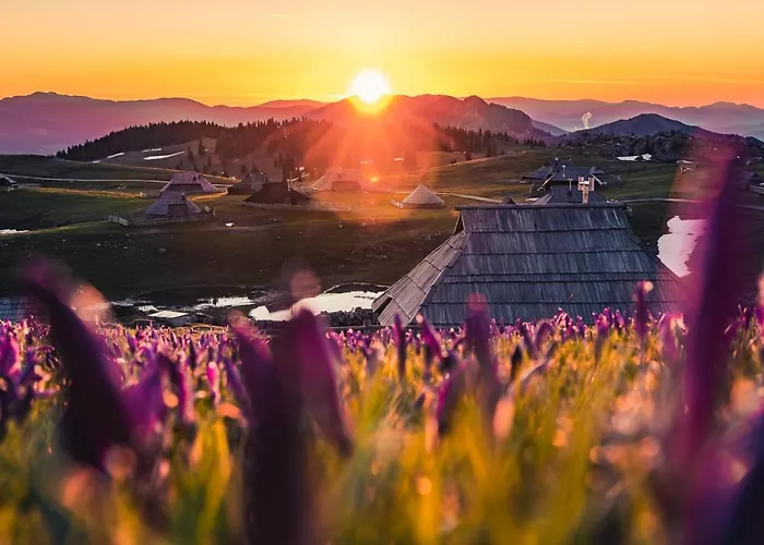 Koca Zafran - Velika Planina Stahovica