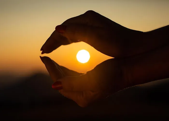 Koca Zafran - Velika Planina *