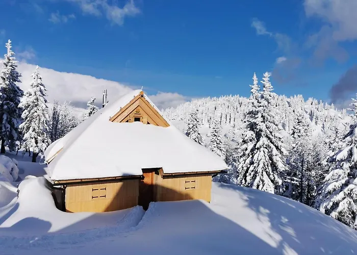 Koca Zafran - Velika Planina Alpesi faház Stahovica