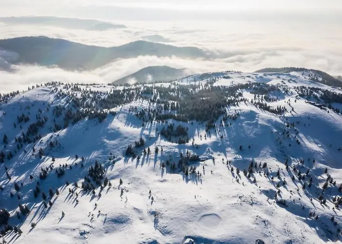 Koca Zafran - Velika Planina Stahovica