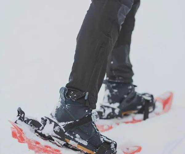 Koca Zafran - Velika Planina Alpesi faház *