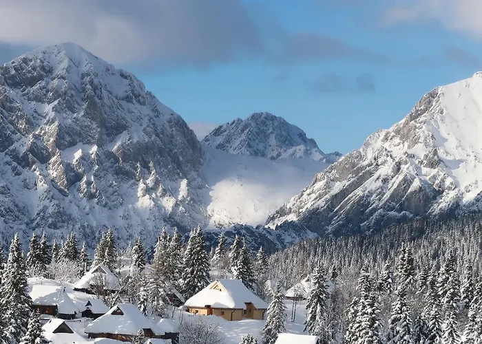 Koca Zafran - Velika Planina *