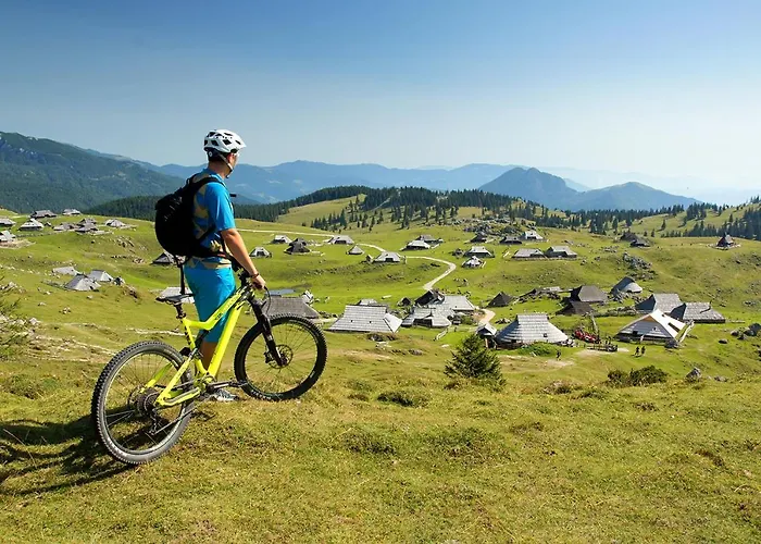Koca Zafran - Velika Planina Alpesi faház *