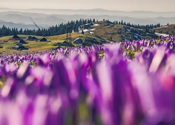 Alpesi faház Koca Zafran - Velika Planina Stahovica